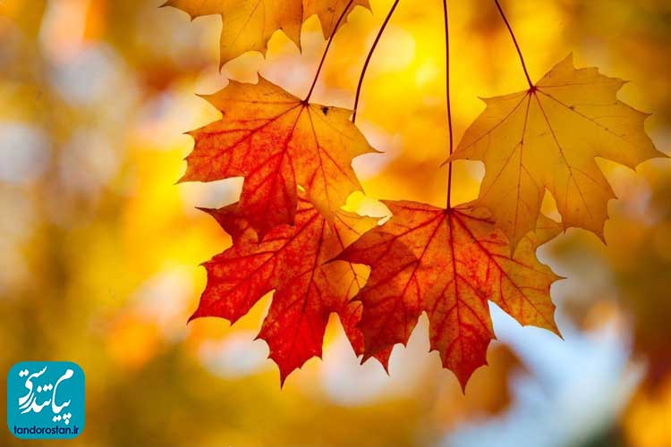 مزاج پاییز