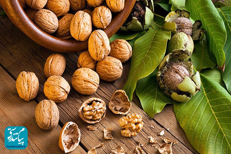 نقش گردو در سلامتی از دیدگاه طب سنتی ایرانی