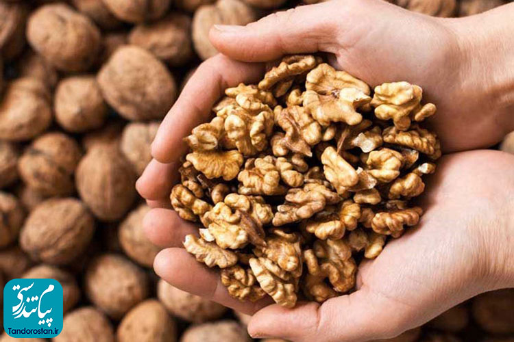 گردو از دیدگاه طب سنتی