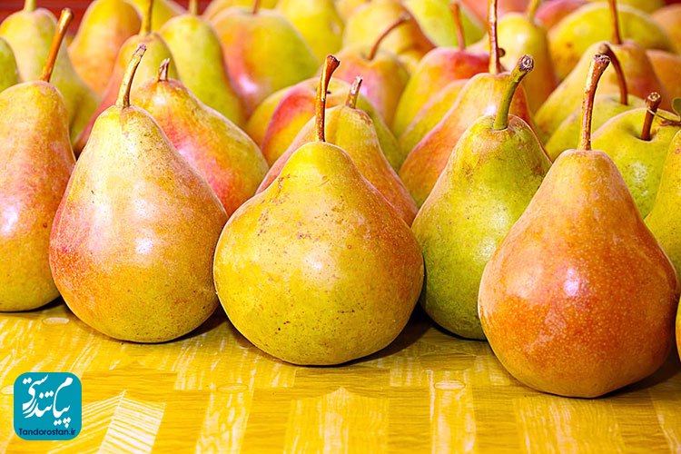 خواص و موارد احتیاط گلابی از دیدگاه طب سنتی ایرانی