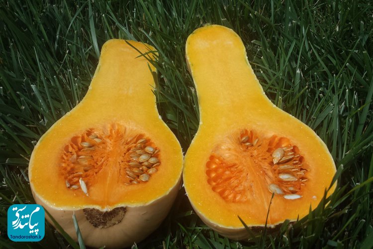 خواص کدو حلوایی در طب سنتی ایرانی