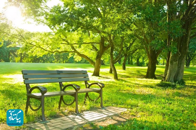 تابستان و این همه نکته از دیدگاه طب سنتی ایرانی