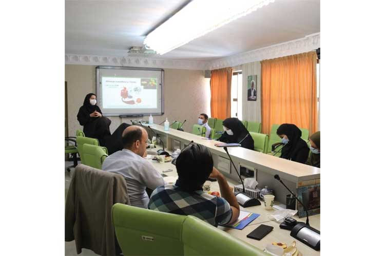 اخبار مدرسه تابستانه مدیریت دیابت 3