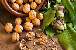 نقش گردو در سلامتی از دیدگاه طب سنتی ایرانی