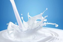 داستان شیر و اُمگا از دیدگاه طب سنتی ایرانی