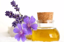 خواص روغن بنفشه بادام از دیدگاه طب سنتی ایرانی