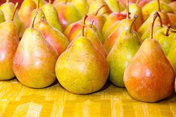 خواص و موارد احتیاط گلابی از دیدگاه طب سنتی ایرانی