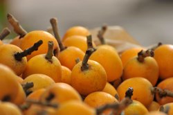 تفاوت خواص ازگیل‌ ژاپنی (گلابی‌ جنگلی یا ازگیل‌ وحشی) با ازگیل واقعی (کونوس)